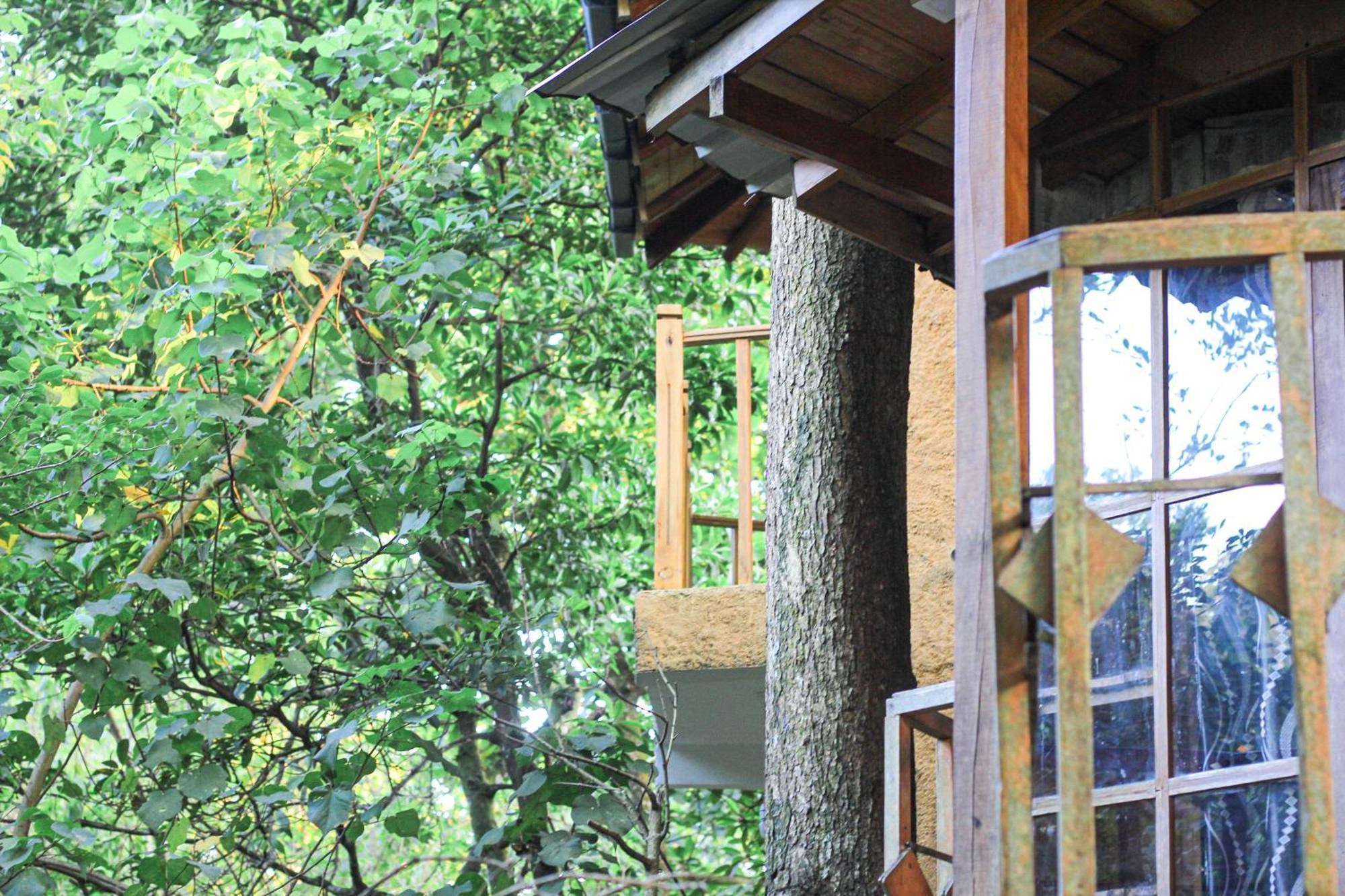 Pensjonat Seasons Four Eco Friendly Treehouse Matara Zewnętrze zdjęcie