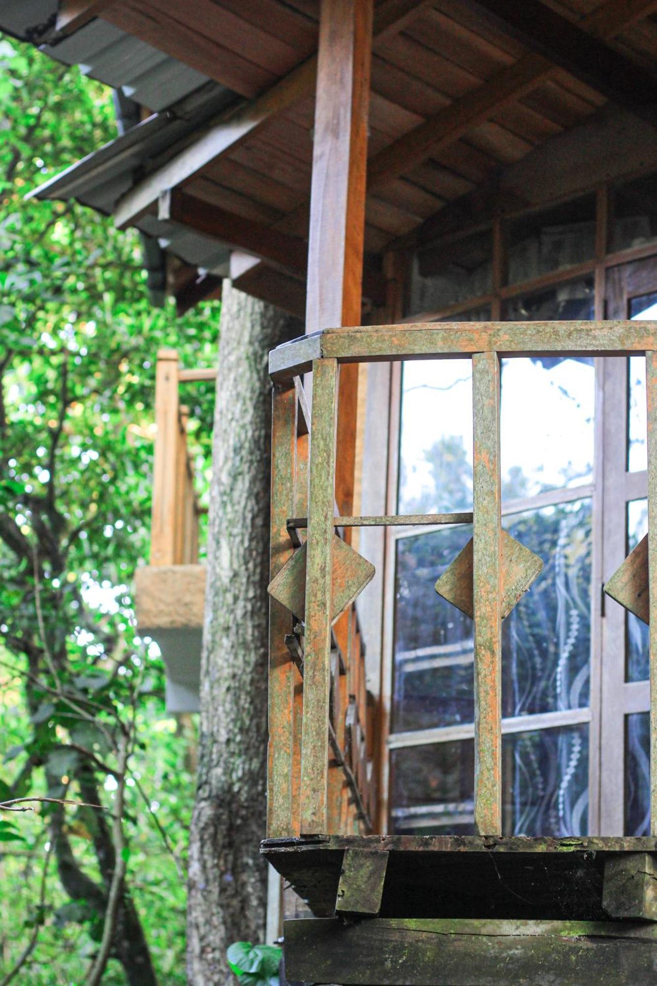 Pensjonat Seasons Four Eco Friendly Treehouse Matara Zewnętrze zdjęcie
