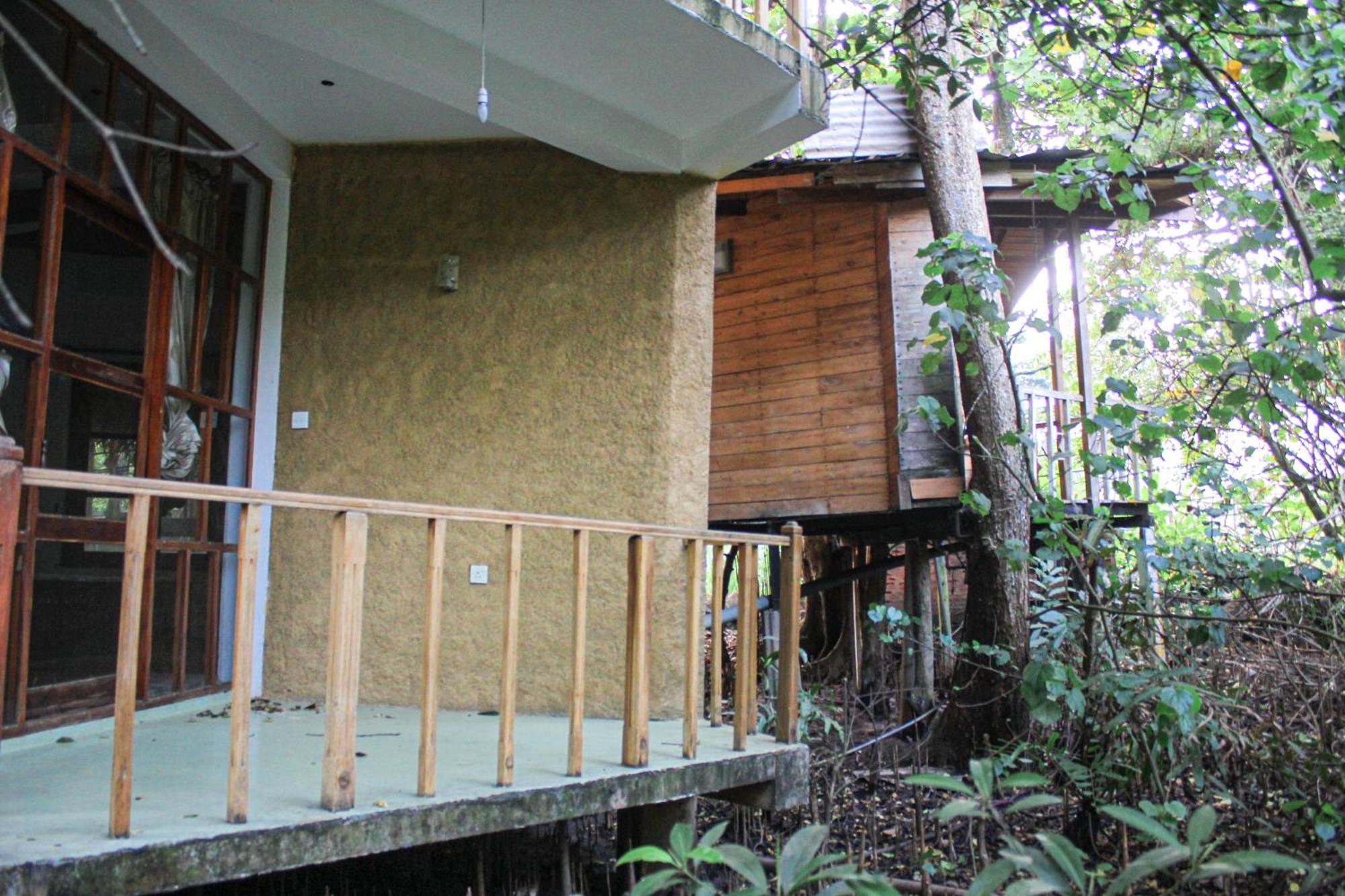 Pensjonat Seasons Four Eco Friendly Treehouse Matara Zewnętrze zdjęcie