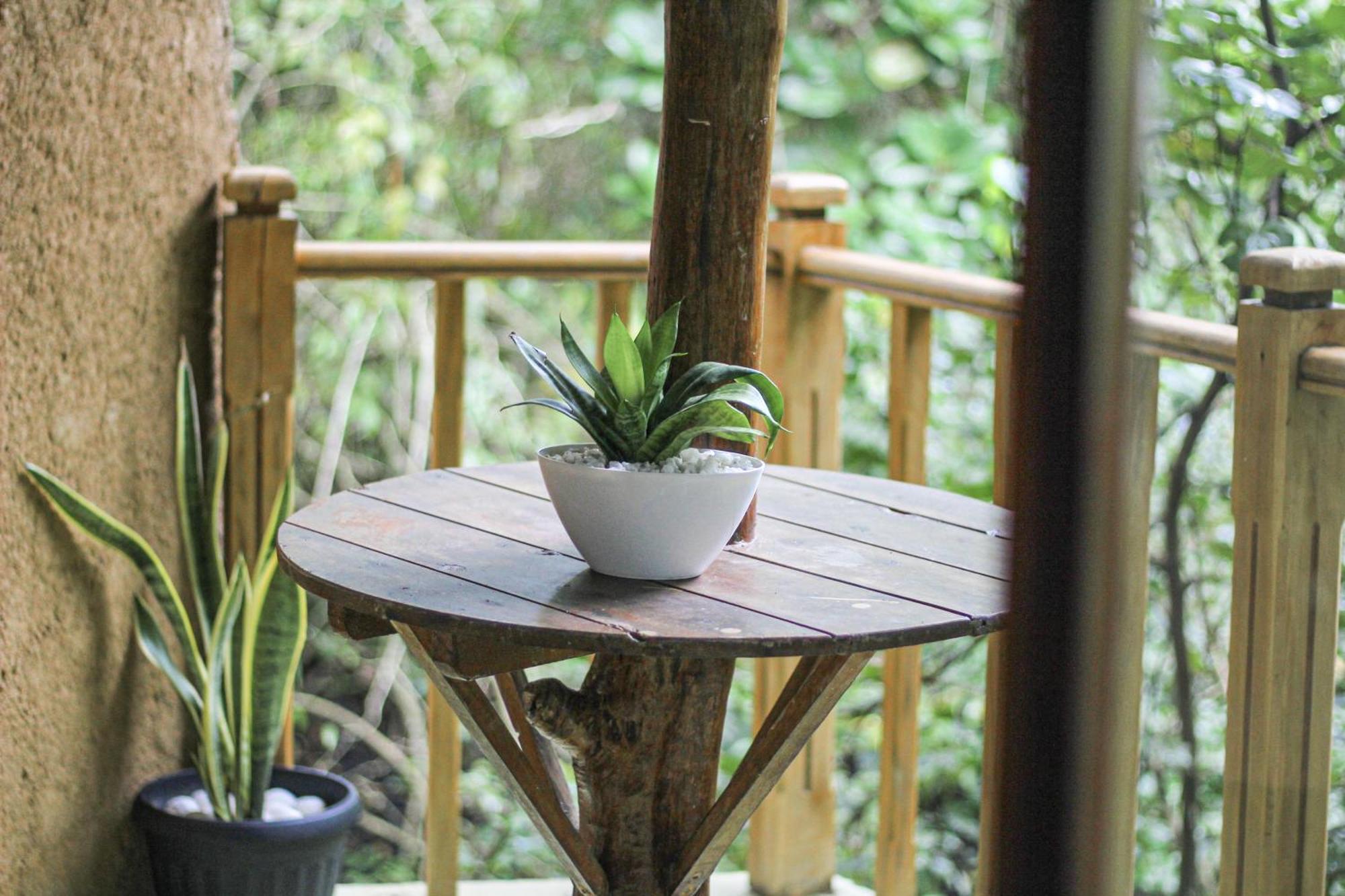 Pensjonat Seasons Four Eco Friendly Treehouse Matara Zewnętrze zdjęcie