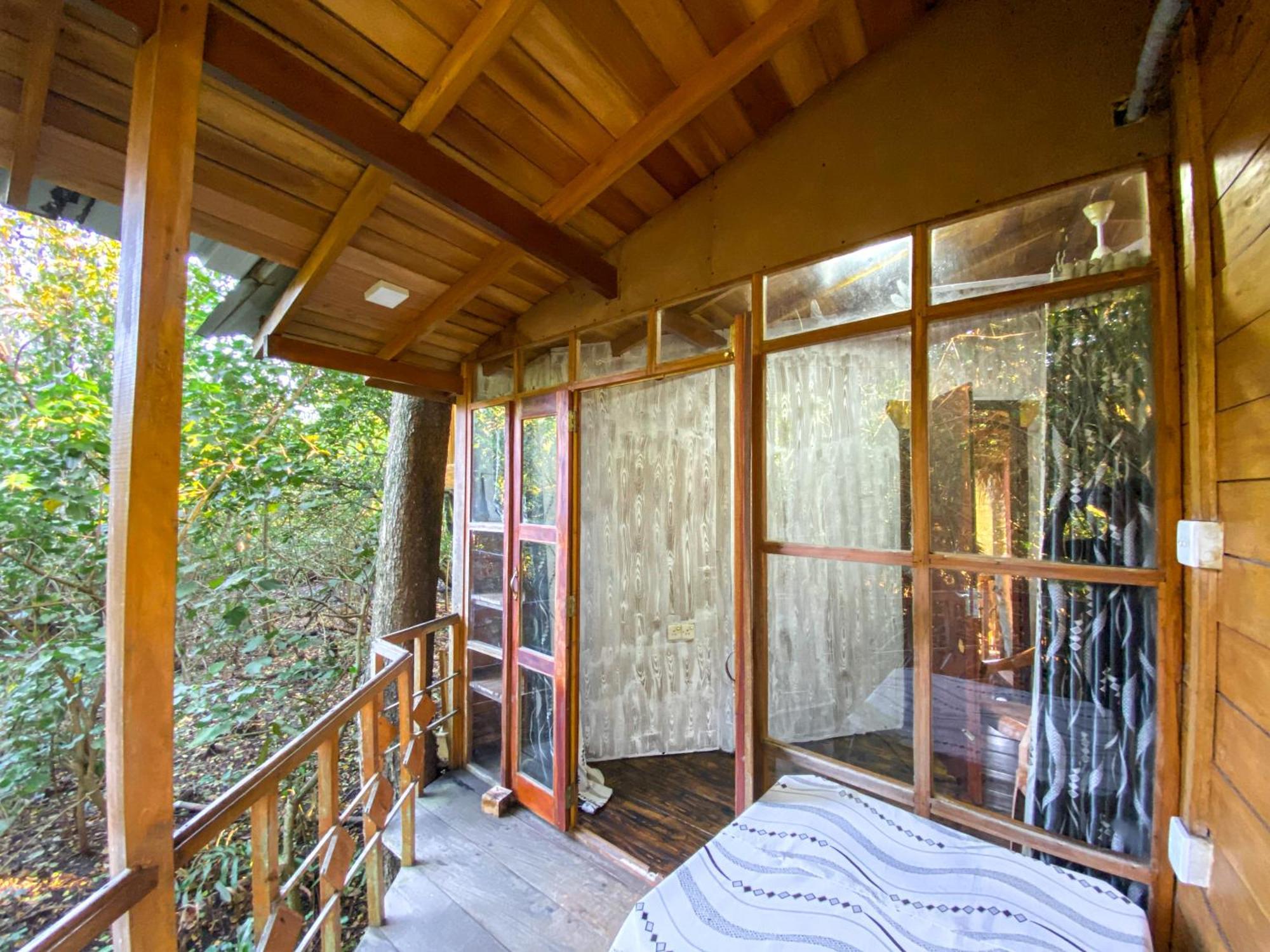 Pensjonat Seasons Four Eco Friendly Treehouse Matara Zewnętrze zdjęcie